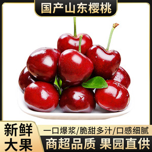 微笑果园 山东新鲜樱桃5斤（18-22mm）