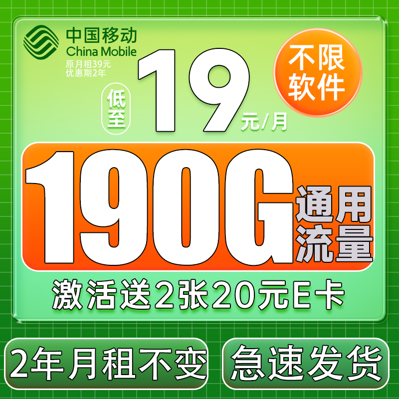 China Mobile 中国移动 躺平卡 2年19元月租（190G全国流量+纯通用不限软件+送480元话费+流量可续）送2张20E卡 0.01元