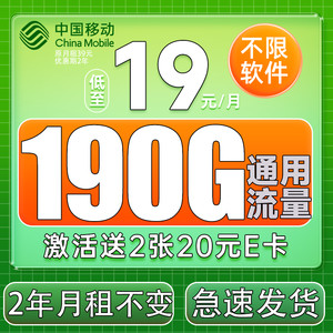 China Mobile 中国移动 躺平卡 2年19元月租（190G全国流量+纯通用不限软件+送480元话费+流量可续）送2张20E卡