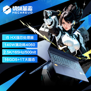 MECHREVO 机械革命 极光Pro16英寸 i5HX 游戏本笔记本电脑(i5-13450HX 16G 1T RTX4060