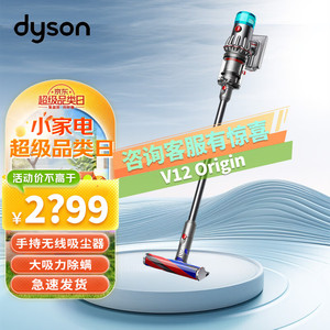 dyson 戴森 V12 Origin大吸力吸尘器（铁镍色）手持无线 除螨 宠物 家庭适用家用吸尘器无绳吸尘器 V12 Origin