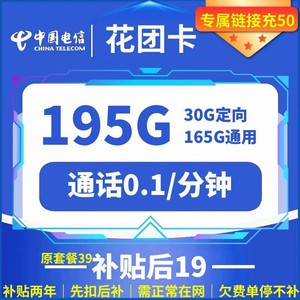 CHINA TELECOM 中国电信 花团卡 两年19元月租 （195G国内流量+5G网速+首月免租）赠电风扇/一台