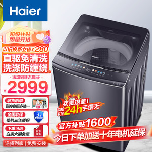 Haier 海尔 波轮洗衣机10公斤双动力