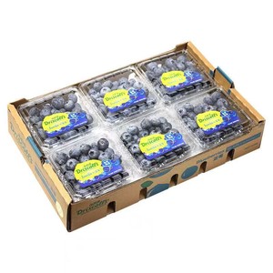 鲜程祥合 新鲜 蓝莓 125g*12盒 单果12-14mm