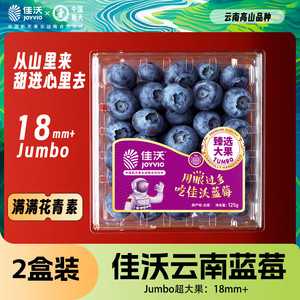 JOYVIO 佳沃 云南当季蓝莓大果18mm+ 2盒装 约125g/盒 新鲜水果