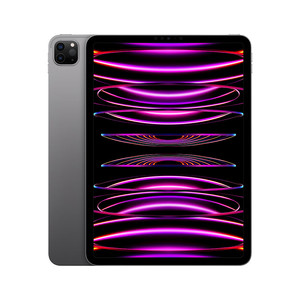 Apple 苹果 iPad Pro 11英寸平板电脑 第4代 (256G WLAN版/MNXF3CH/A) 深空灰色