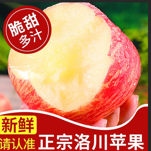 	【JD旗舰店】满城红 洛川苹果 带箱5斤70mm(净重4.5斤)