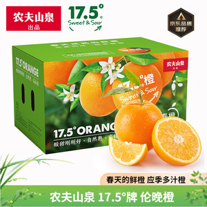 NONGFU SPRING 农夫山泉 17.5°橙 脐橙 春天的鲜橙 新鲜水果礼盒 3kg装【春日】