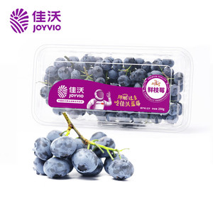 JOYVIO 佳沃 蓝莓鲜枝莓14mm+ 1盒装 约250g/盒 新鲜水果