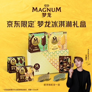 MAGNUM 梦龙 暴富小金龙冰淇淋礼盒 16支 850g 和路雪冰激凌 雪糕