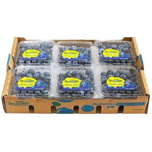 特大果 蓝莓 125g*6盒 果径15-18mm