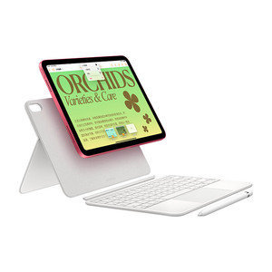 Apple iPad 10 苹果 ipad平板电脑10.9 英寸 资源版 iPad10第十代 2022新款正品ipad10