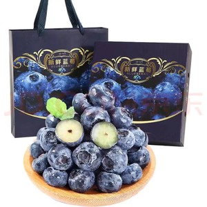姬幻 特大果 蓝莓 125g*12盒 单果18-22mm